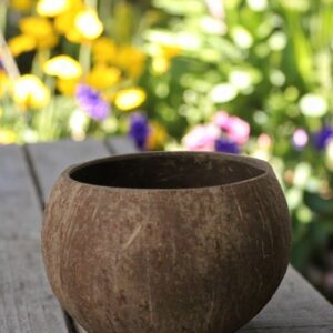 Coconut Planter