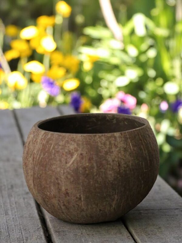 Coconut Planter