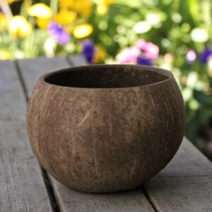 Coconut Planter