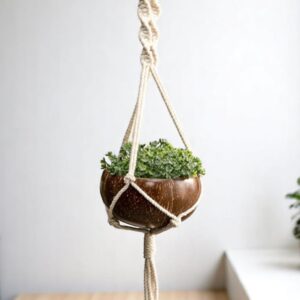 Coconut Hanging Planter