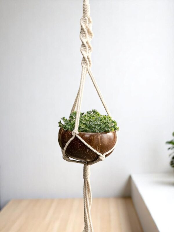 Coconut Hanging Planter