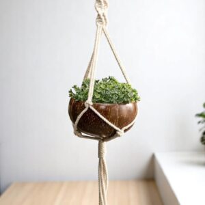 Coconut Hanging Planter