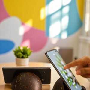 Coconut Mobile Stand