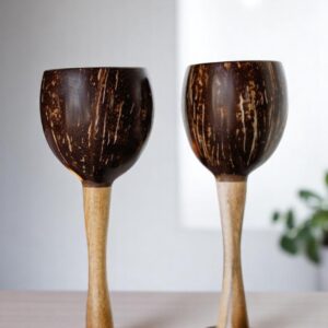 Coconut Wine Glasses
