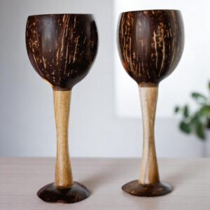 Coconut Wine Glasses
