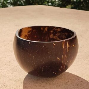 Coconut Bowls