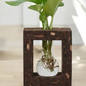 Cork Planter 1