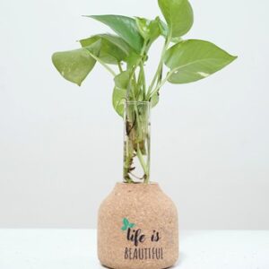 Cork Planter 3