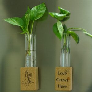 Cork Planter 4